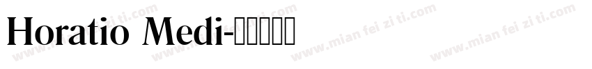 Horatio Medi字体转换